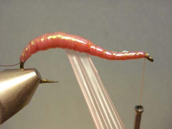 Vladi Worm