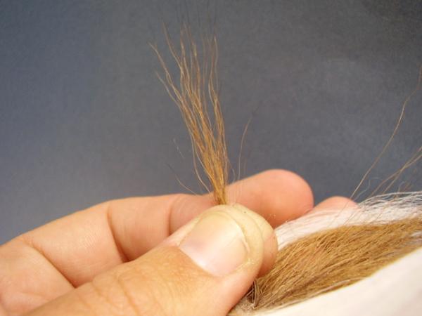 Clouser Deep Minnow