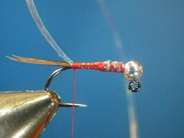 Egan's Pearl Rainbow Warrior