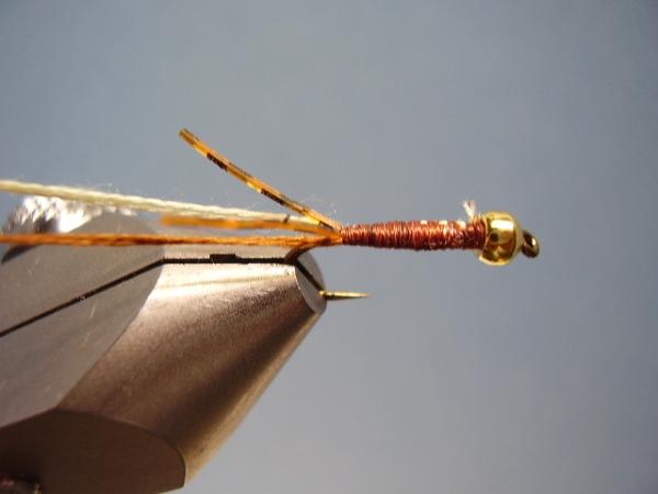 LW's Light Frontliner