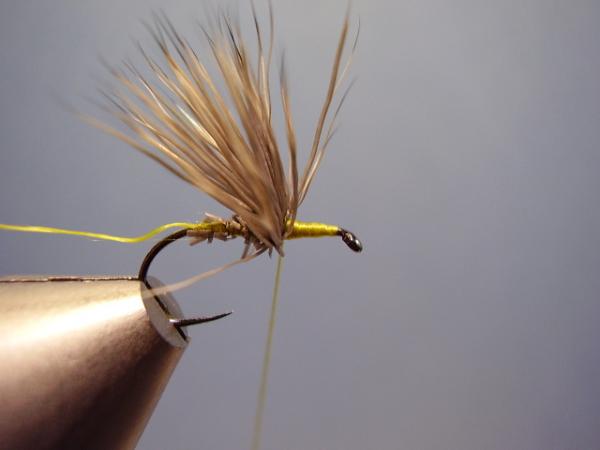 Blue-Winged Olive Comparadun