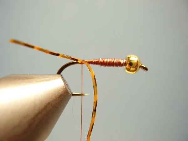 LW's Light Frontliner