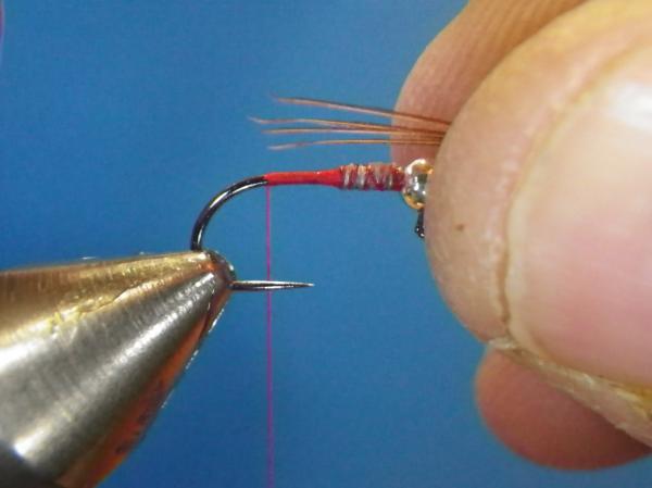 Egan's Pearl Rainbow Warrior