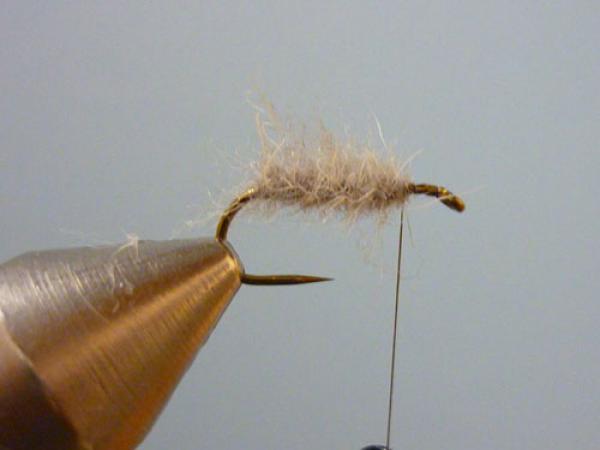 LW's Q-Tip