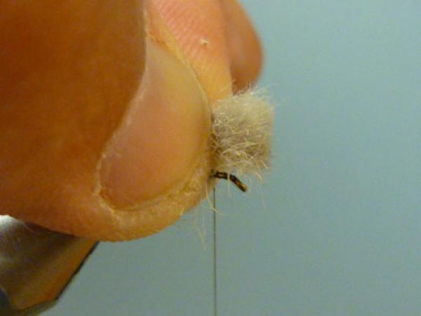 LW's Q-Tip