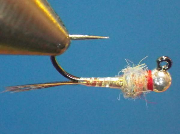 Egan's Pearl Rainbow Warrior