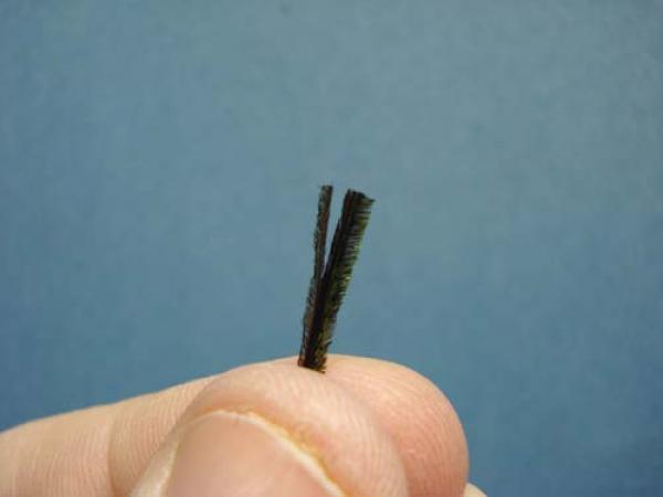 Pheasant Tail Cruncher