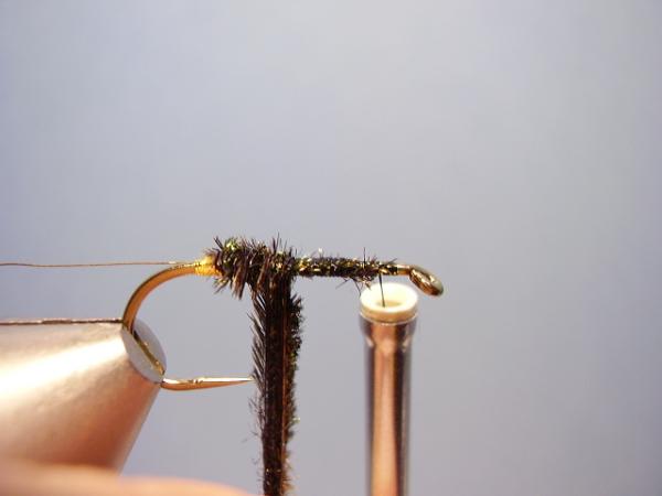 Leadwing Coachman