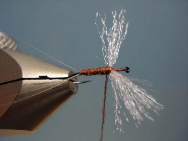 Poly Wing Rusty Spinner