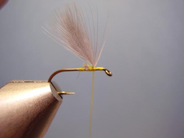 Blue-Winged Olive Catskill