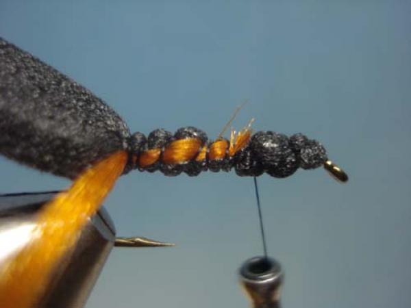 LW's Periodical Cicada