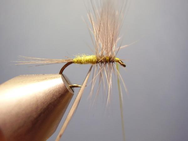 Blue-Winged Olive Catskill