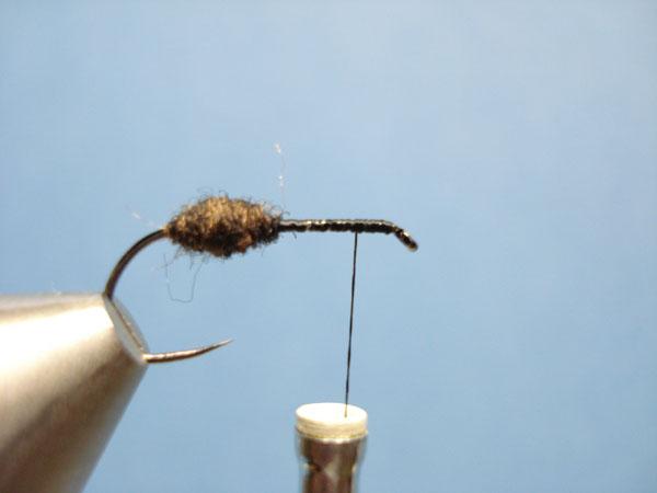 Black Fur Ant