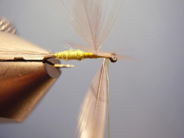 Blue-Winged Olive Catskill