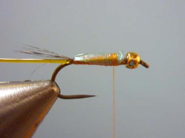 LW's Orange BB