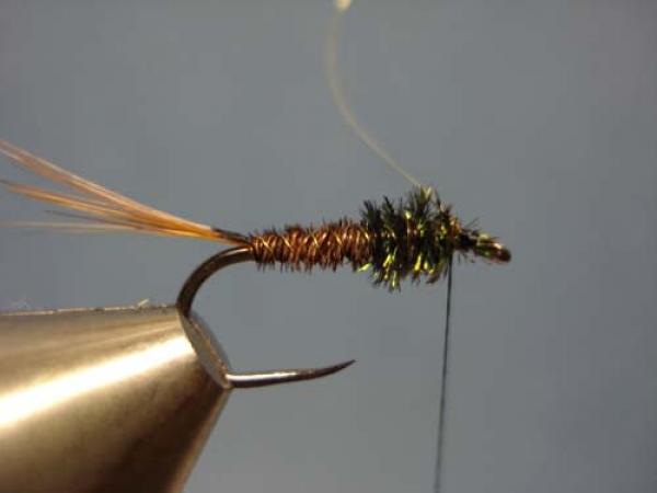 Pheasant Tail Cruncher