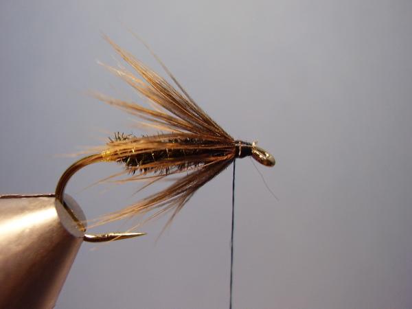 Leadwing Coachman