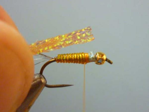 LW's Orange BB