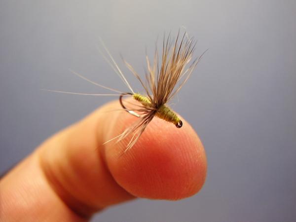 Blue-Winged Olive Comparadun