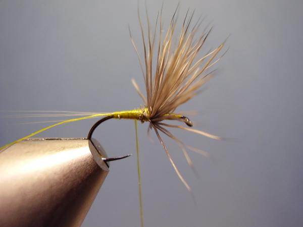 Blue-Winged Olive Comparadun