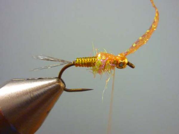 LW's Orange BB