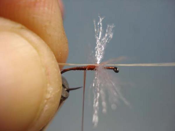 Poly Wing Rusty Spinner