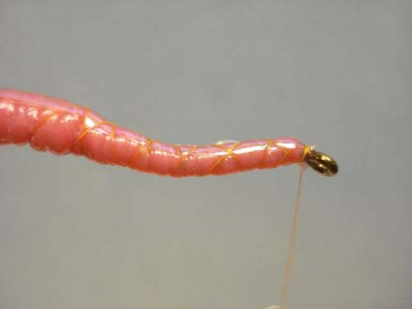 Vladi Worm