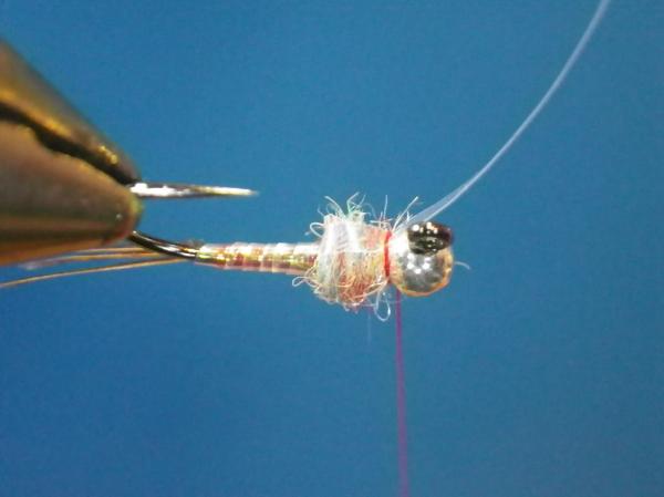 Egan's Pearl Rainbow Warrior