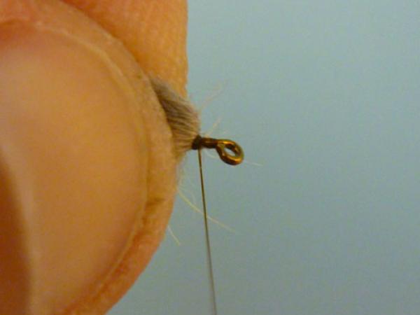 LW's Q-Tip