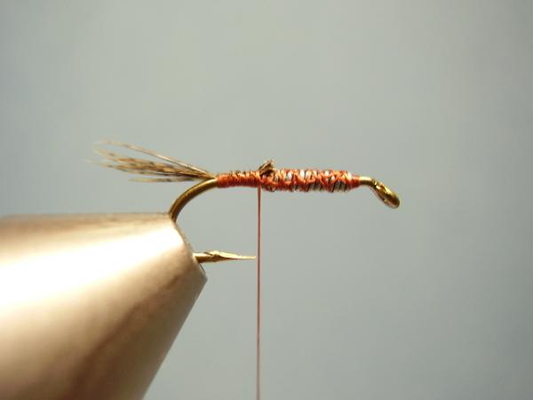 LW's Dark Quill Sulphur