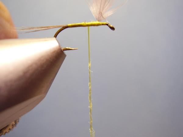 Blue-Winged Olive Catskill