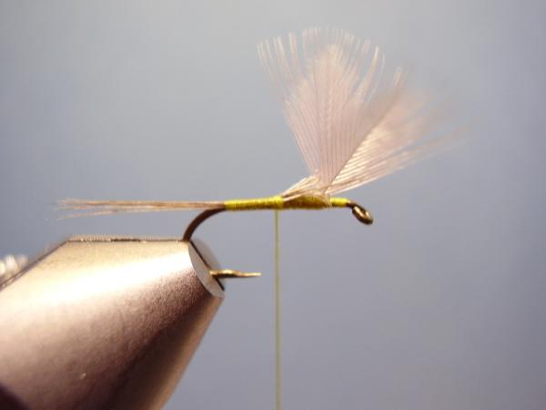 Blue-Winged Olive Catskill