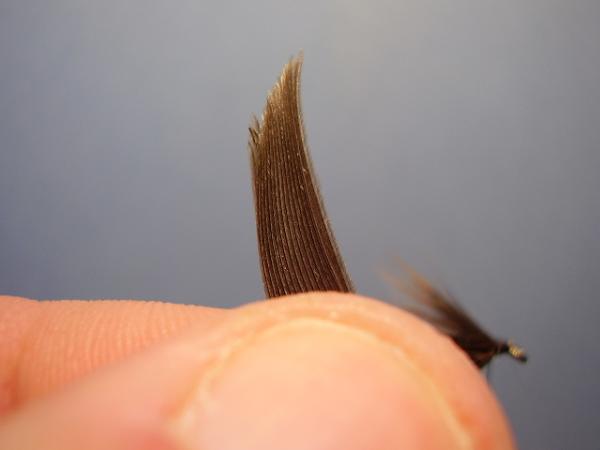 Leadwing Coachman
