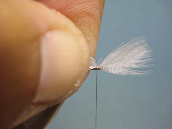 Hen Wing Sulphur Spinner
