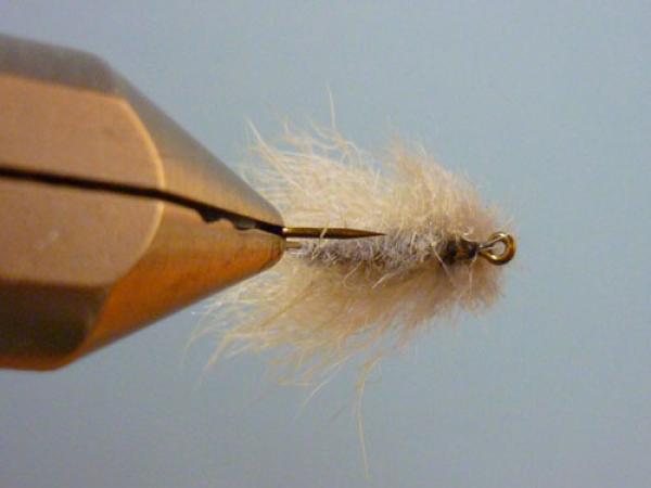 LW's Q-Tip