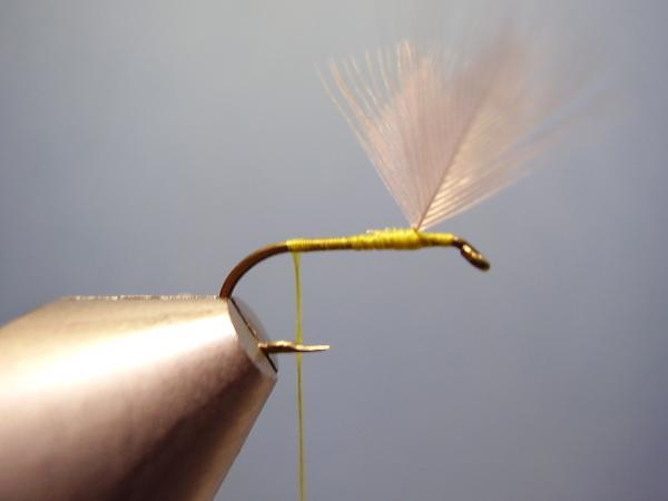 Blue-Winged Olive Catskill