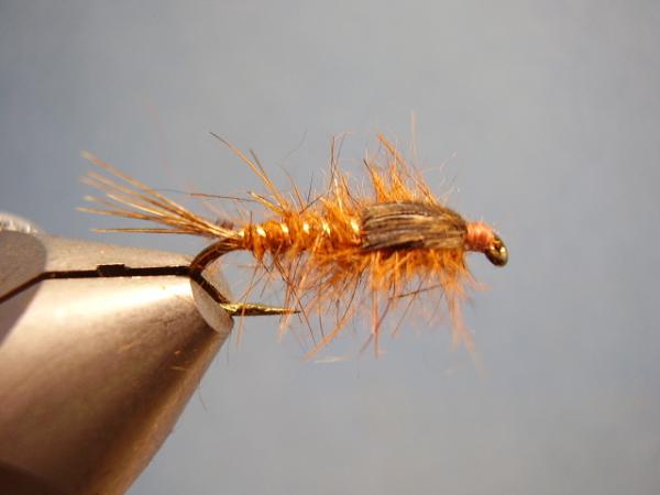 Olive Gold-Ribbed Hares Ear