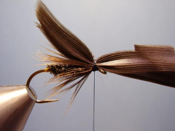 Leadwing Coachman
