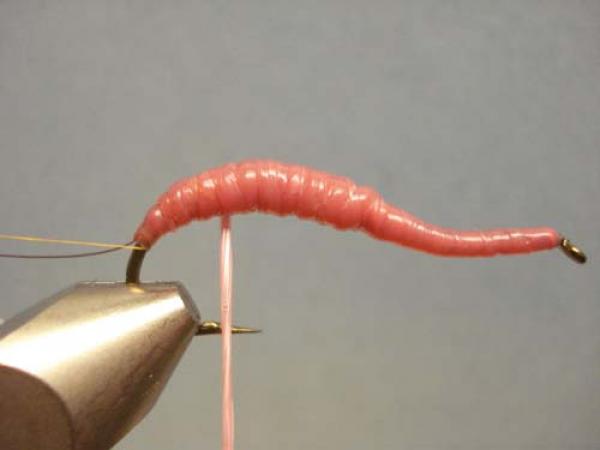 Vladi Worm