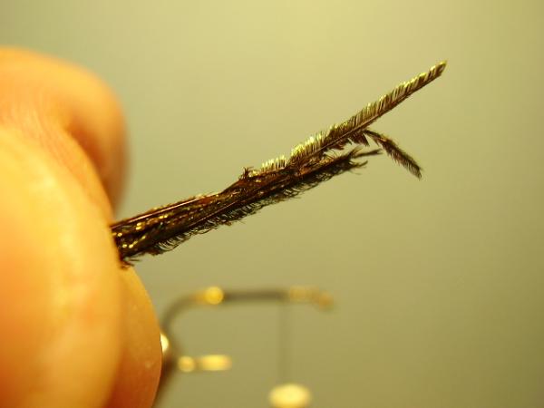 Leadwing Coachman