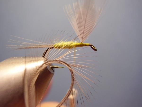 Blue-Winged Olive Catskill