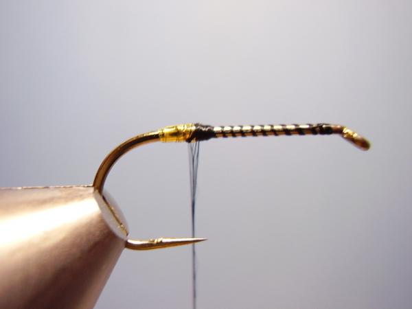 Leadwing Coachman