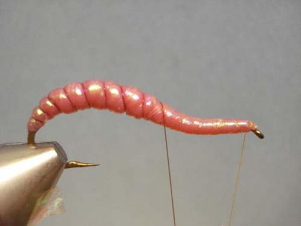 Vladi Worm