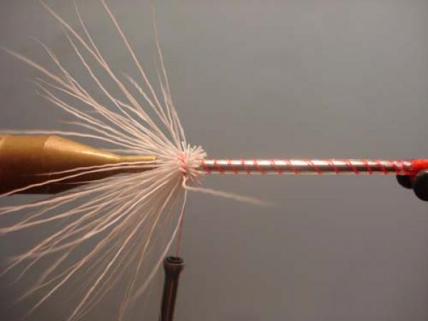 White Intruder Tube Fly