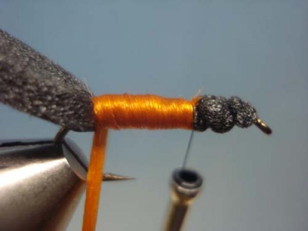 LW's Periodical Cicada