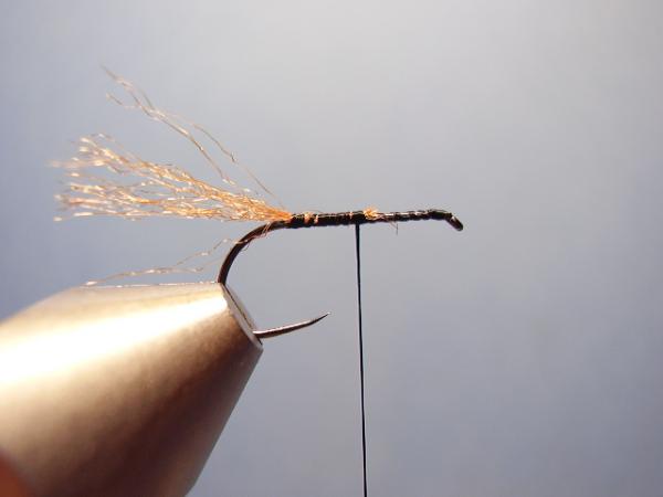 Grannom X-Caddis