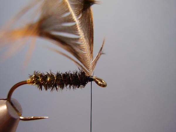 Leadwing Coachman