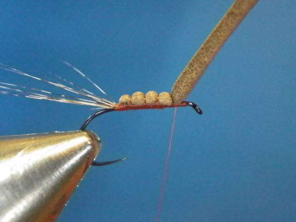 LW's Isonychia F-Plus