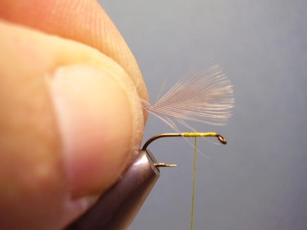 Blue-Winged Olive Catskill