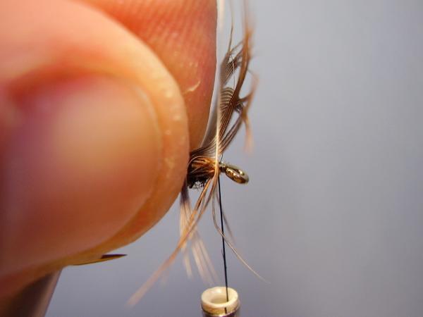 Leadwing Coachman